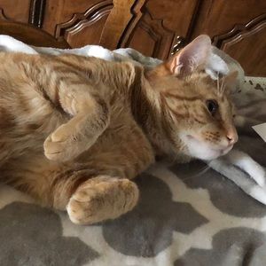 Meet your Posher, Thelma